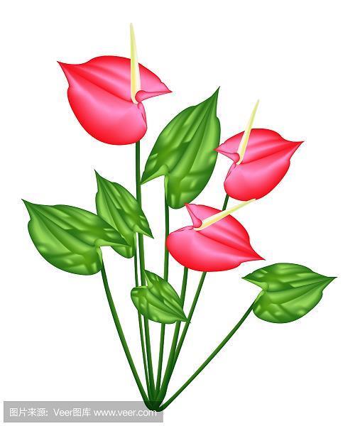 前怕龙，后怕虎