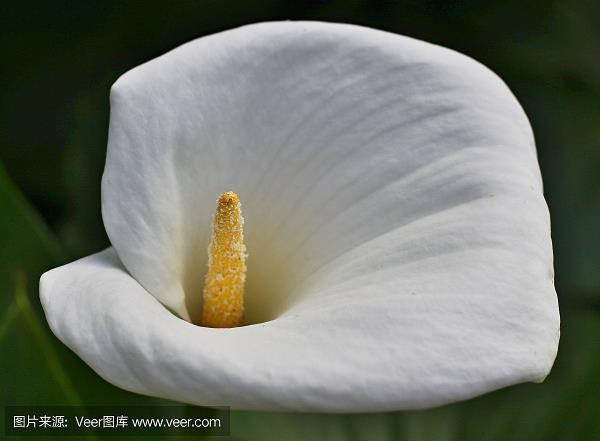 点铁成金