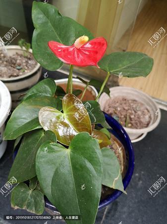 死气沉沉