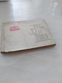 逐影随波