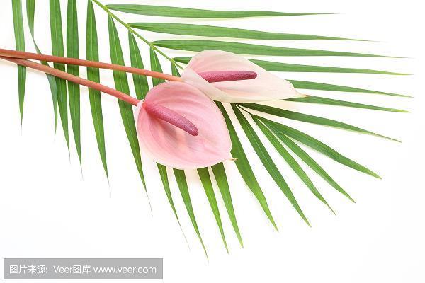 政出多门