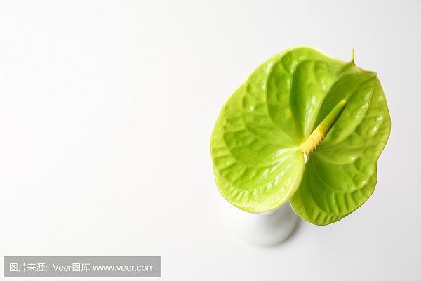 清风高谊