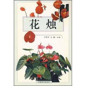 东央西浼