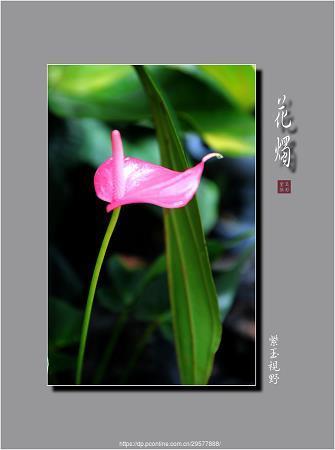 章甫荐履