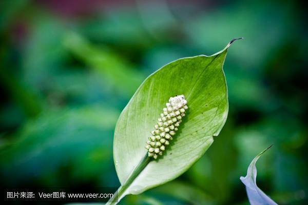 写给老公的生日感言发朋友圈