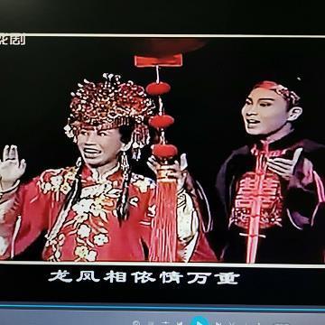 曝书见竹
