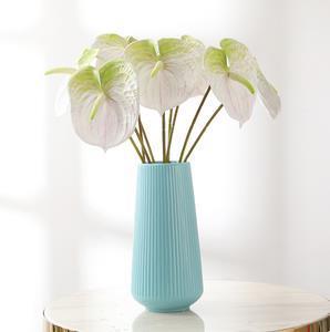 郁郁芊芊