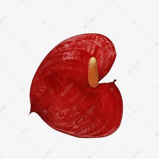 遮遮掩掩