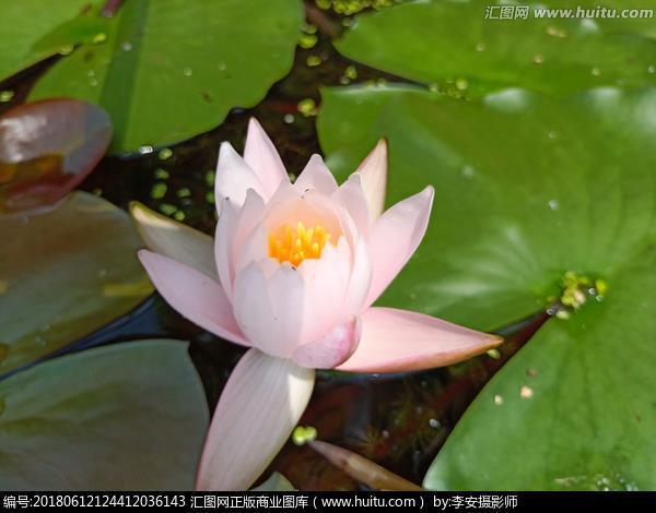 闲情逸趣