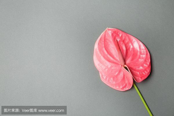 冤家宜解不宜结