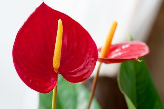 绳愆纠违