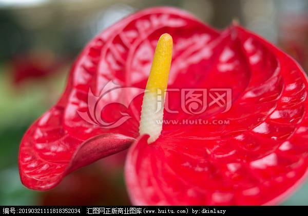 移步换形