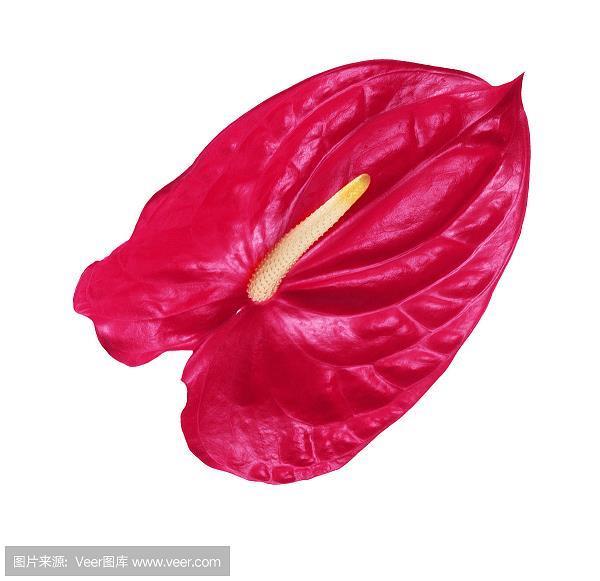 qq签名想念一个人 qq签名想念一个人的话