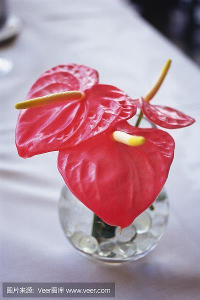尽诚竭节
