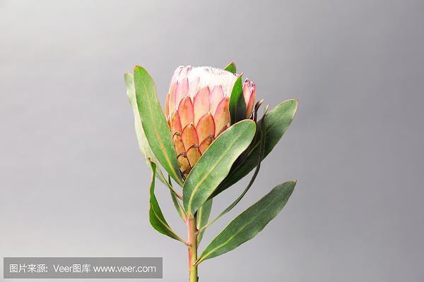 三余读书