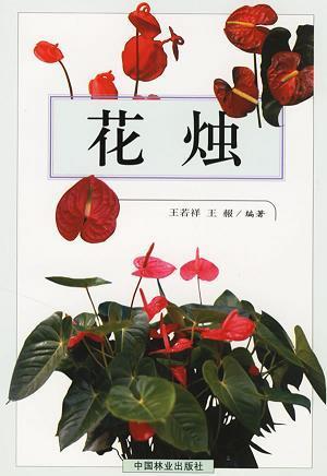 匪石匪席