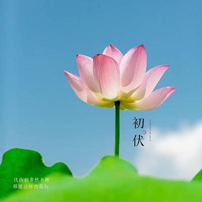 不问三七二十一