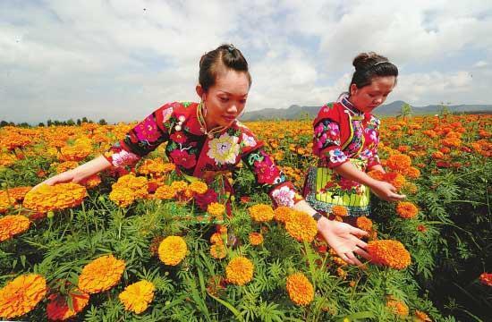 处高临深