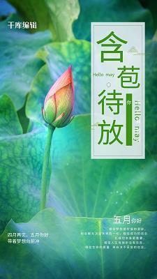 不爽累黍