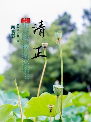 貌合心离
