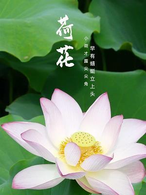 鹤膝蜂腰