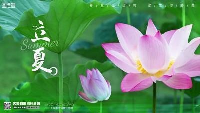 狗彘不食