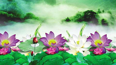柳户花门