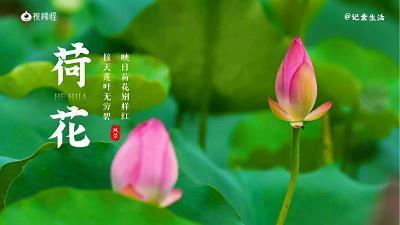 劈两分星