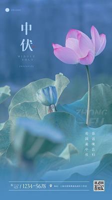茕茕孤立