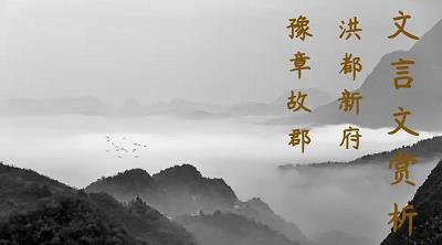 舐犊之私
