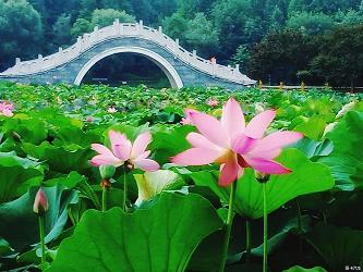 师心自是