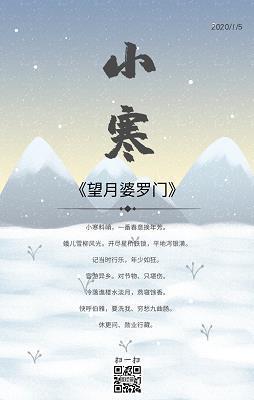 儿大不由娘