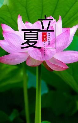 朵颐大嚼