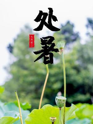 风烛残年