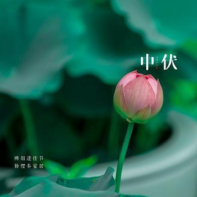 炒鱿鱼