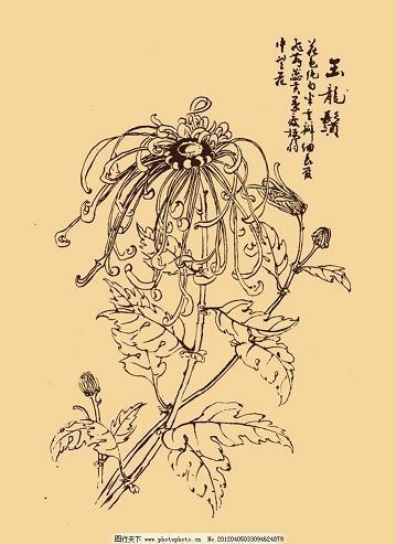 蚁集蜂攒