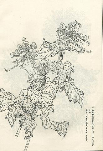 操矛入室