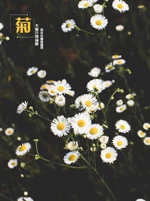 各种各样