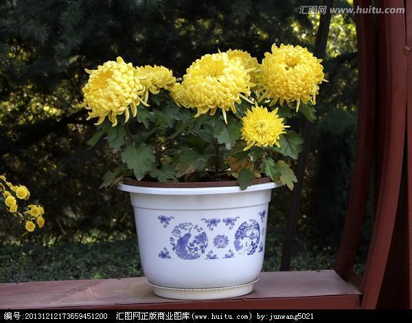 七纵七擒