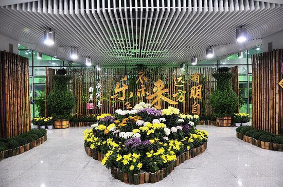 买马招兵