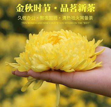 红瘦绿肥