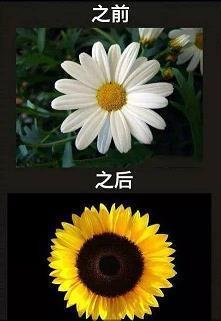 十风五雨