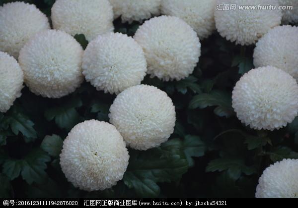 心凉到极点的说说短句子29句