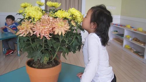 子曰诗云