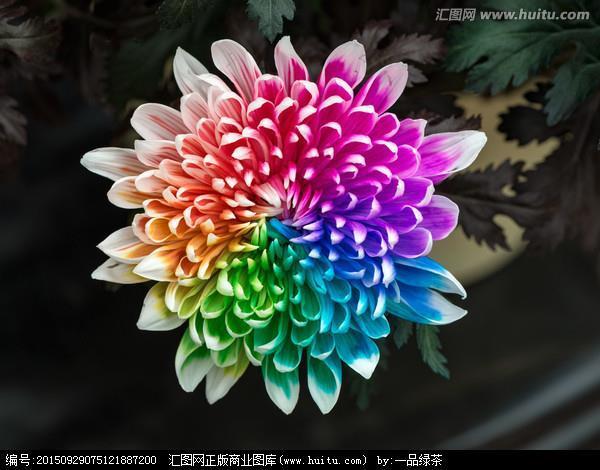 格格不纳