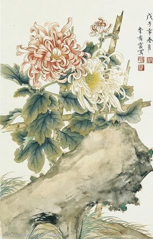 惹祸招殃