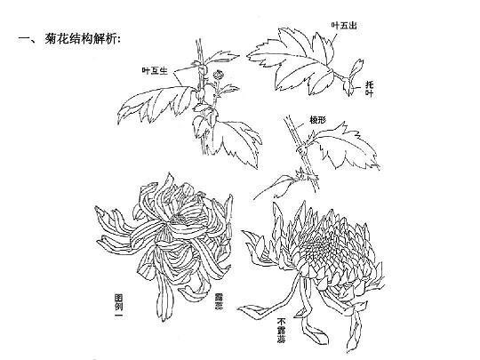 一诺无辞