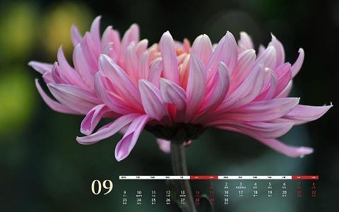 愚人节短信整蛊大全