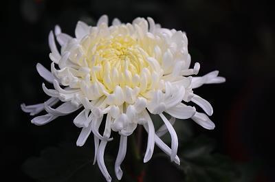 与众不同