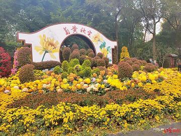 畎亩下才